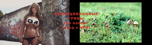 хмурый Магадан