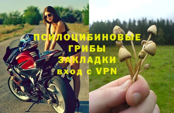 мет Магас