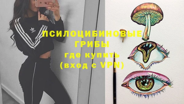 мет Магас