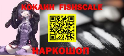 бошки Гатчина